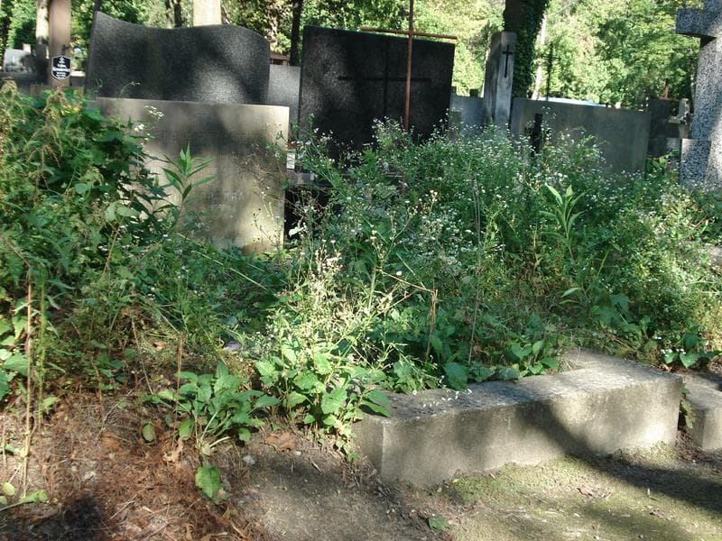 Zdjęcie grobu Wojciech Gordziałowski (1)