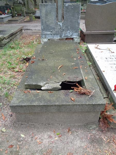Zdjęcie grobu Bolesław Guzowski (1)