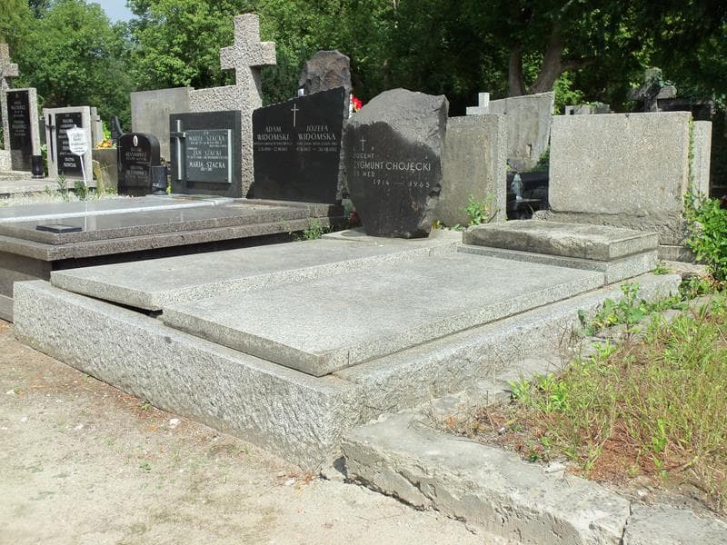 Zdjęcie grobu Zygmunt Chojecki (1)