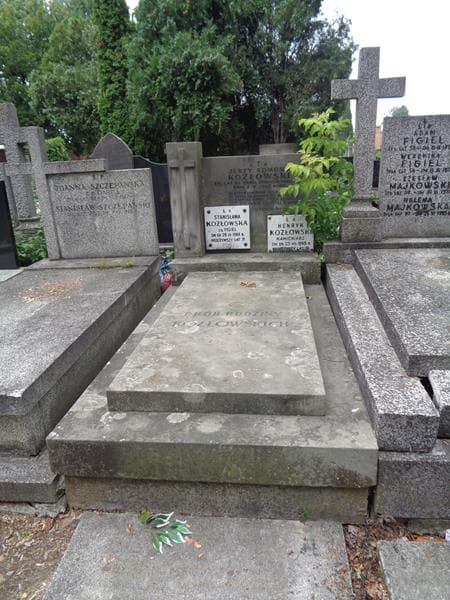 Zdjęcie grobu Jerzy Edmund Kozłowski (1)