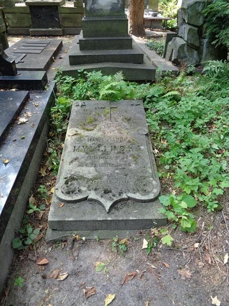 Zdjęcie grobu Maria Myślińska (1)
