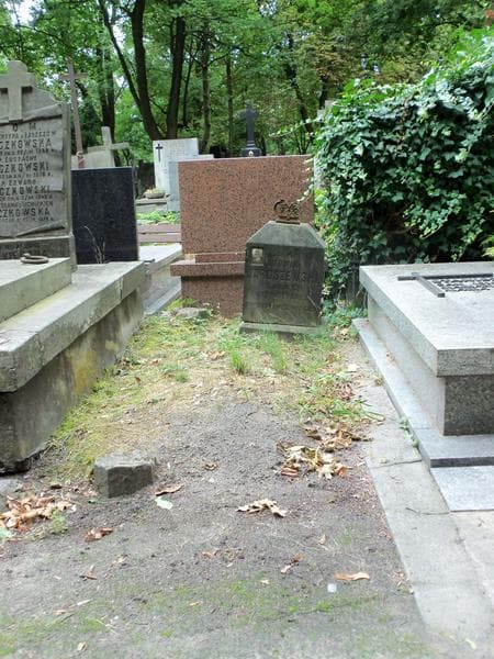 Zdjęcie grobu: Ludwik Jaroszewski