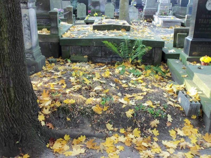 Zdjęcie grobu: Józef Bogowolski