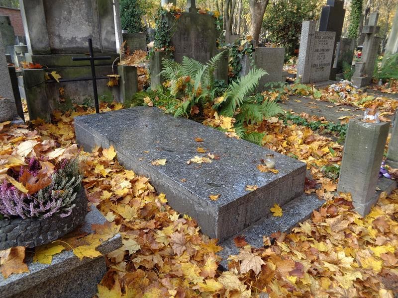 Zdjęcie grobu: Zdzisław Domosławski