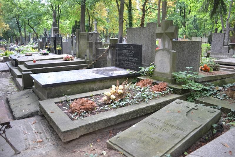 Zdjęcie grobu: Antonina Knothe