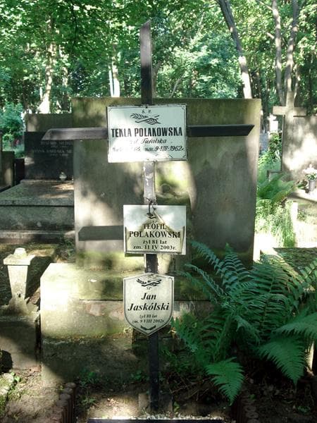 Zdjęcie grobu Teofil Polakowski (1)