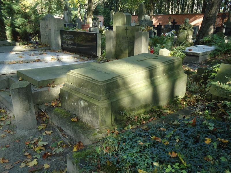Zdjęcie grobu Otton Malinowski (1)