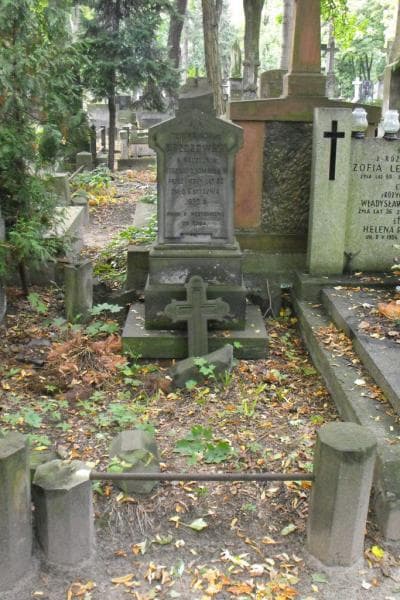 Zdjęcie grobu: Teodor Rafał Brzozowski