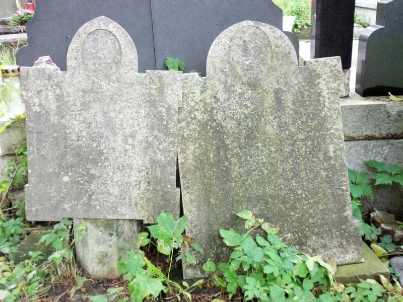 Zdjęcie grobu Maksymiljan Boniecki (1)