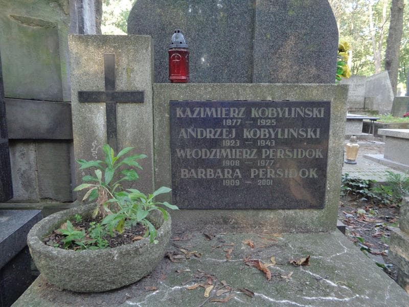 Zdjęcie grobu Andrzej Kobyliński (2)