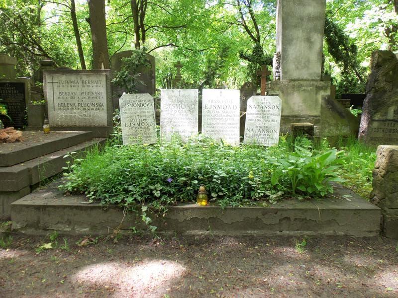 Zdjęcie grobu: Wiktor Natanson