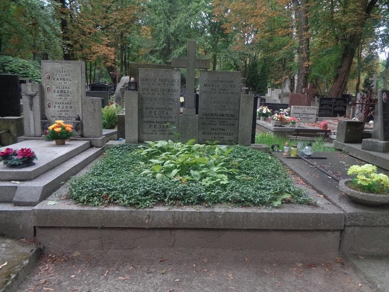 Zdjęcie grobu Piotr Bronisław Pejta (1)