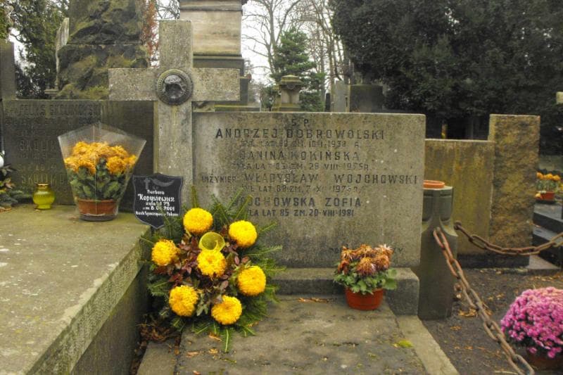 Zdjęcie grobu Andrzej Dobrowolski (2)