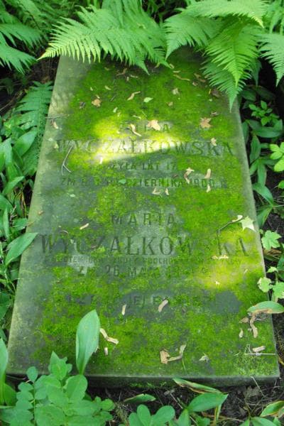 Zdjęcie grobu Zofia Wyczałkowska (1)