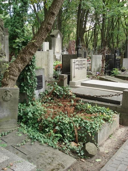 Zdjęcie grobu: Emil Derewlaniuk