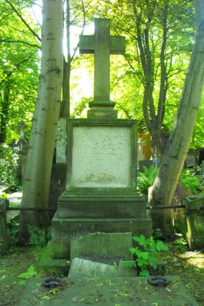 Zdjęcie grobu Wiktor Mierzejewski (2)
