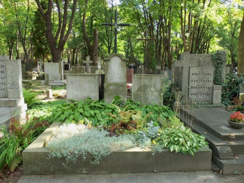 Zdjęcie grobu: Wiktor Plaskowski