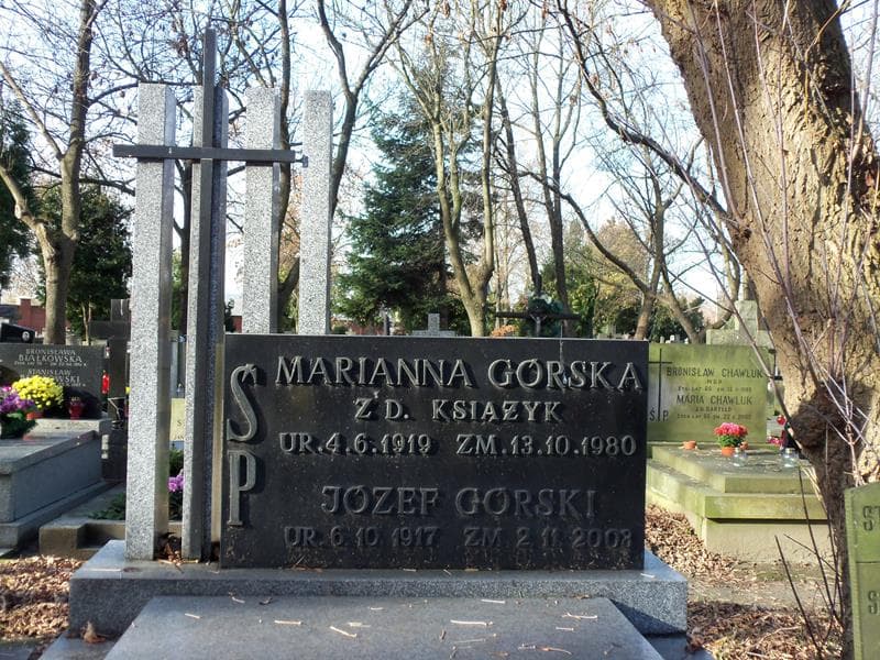 Zdjęcie grobu Józef Górski (2)