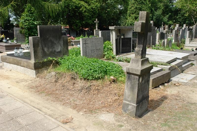 Zdjęcie grobu: Wacława Jezierska