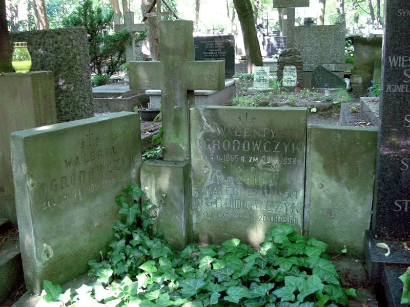 Zdjęcie grobu Rozalia Ogrodowczyk (1)