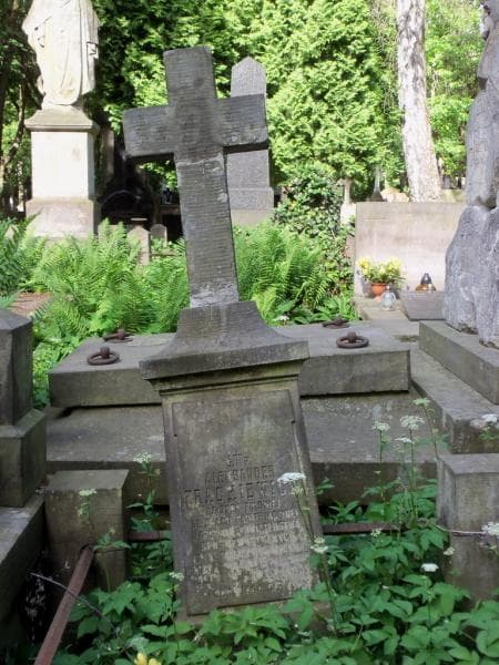Zdjęcie grobu Aleksander Frąckiewicz (2)