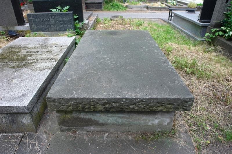 Zdjęcie grobu Helena Arct (1)