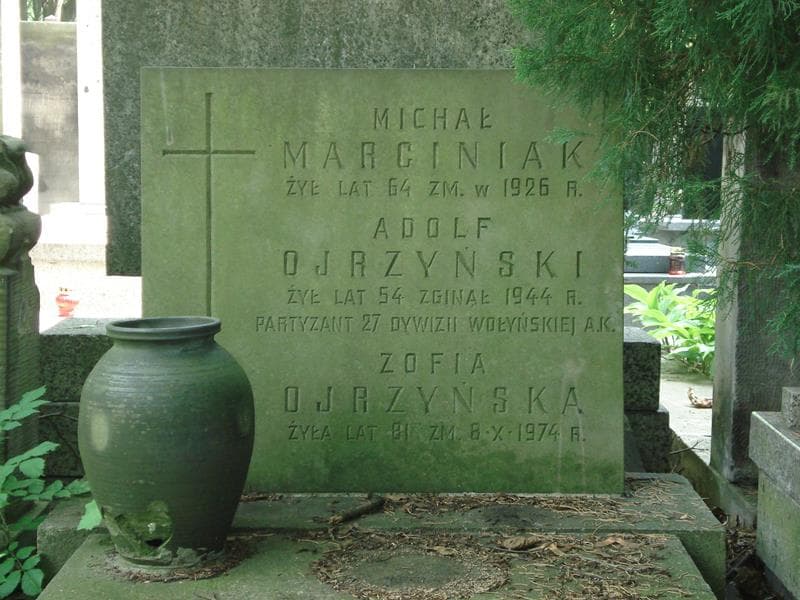 Zdjęcie grobu Adolf Ojrzyński (2)