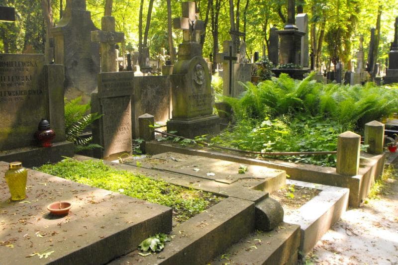 Zdjęcie grobu Roch Golian (2)