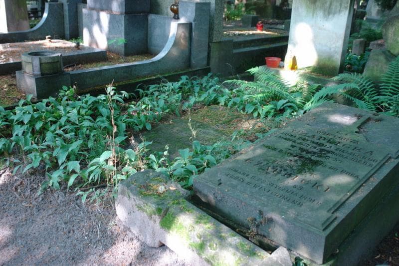 Zdjęcie grobu Bronisława Marya Dzierzanowska (1)