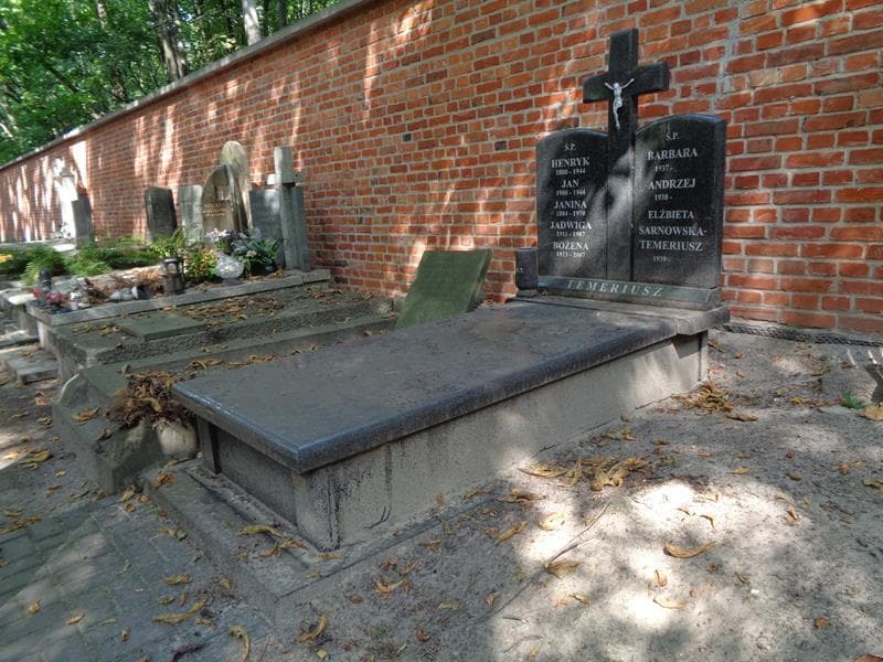 Zdjęcie grobu: Janina Temeriusz