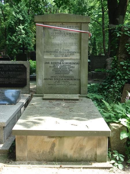 Zdjęcie grobu: Julian Dołęga Komorowski