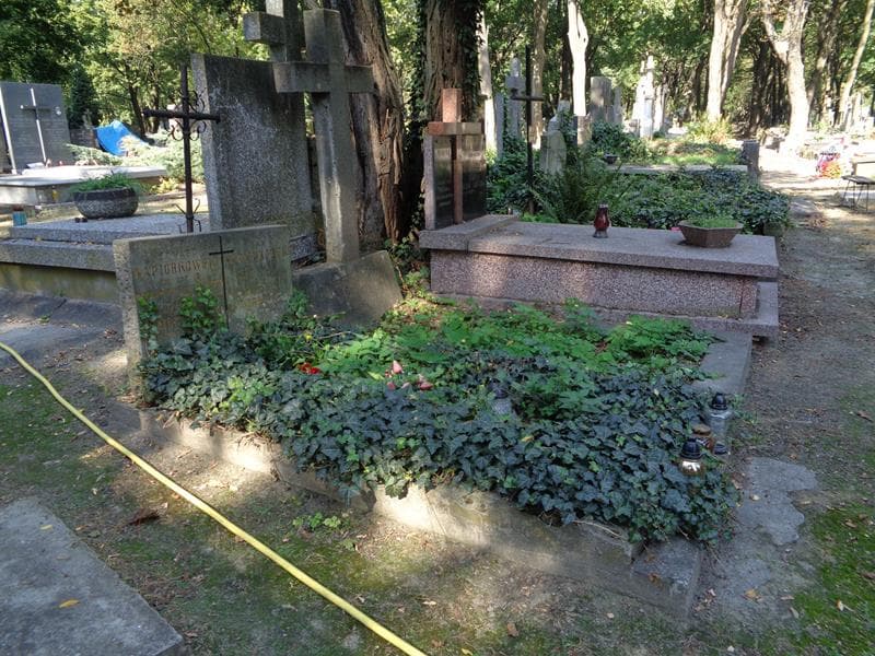 Zdjęcie grobu: Edward Napiórkowski