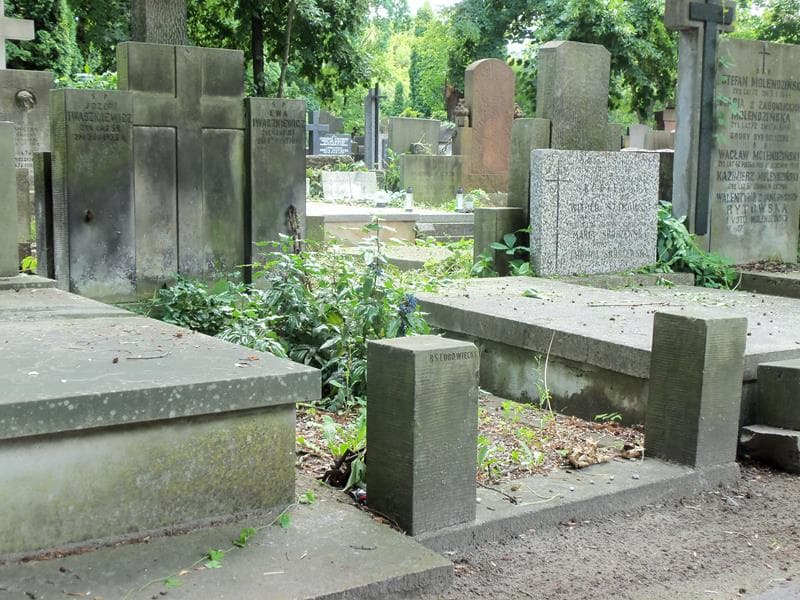 Zdjęcie grobu Józef Iwaszkiewicz (1)