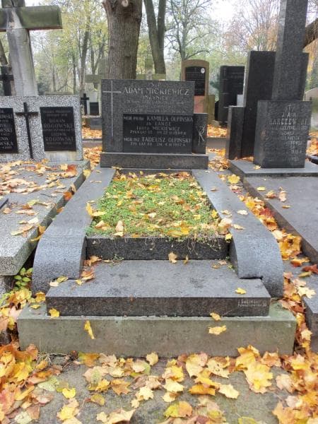 Zdjęcie grobu: Tadeusz Olpiński