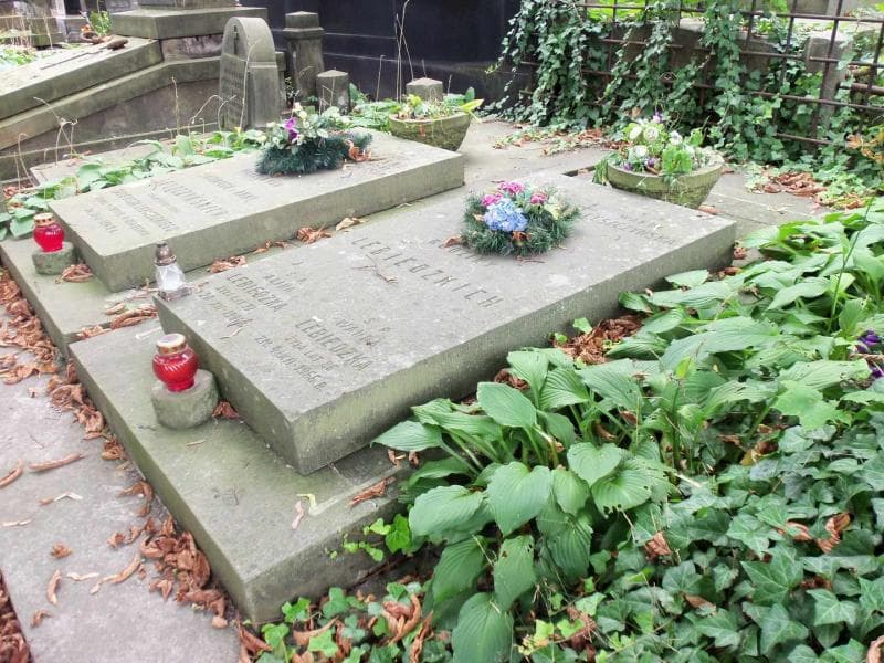 Zdjęcie grobu Leszczyńscy (1)