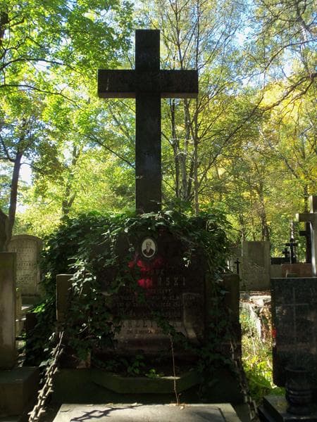 Zdjęcie grobu Juljusz Maleciński (2)