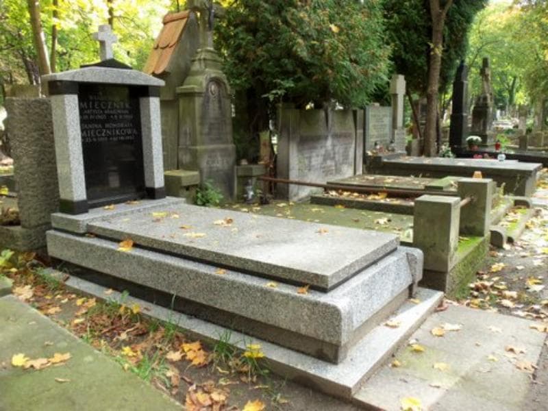 Zdjęcie grobu Władysław Miecznik (1)