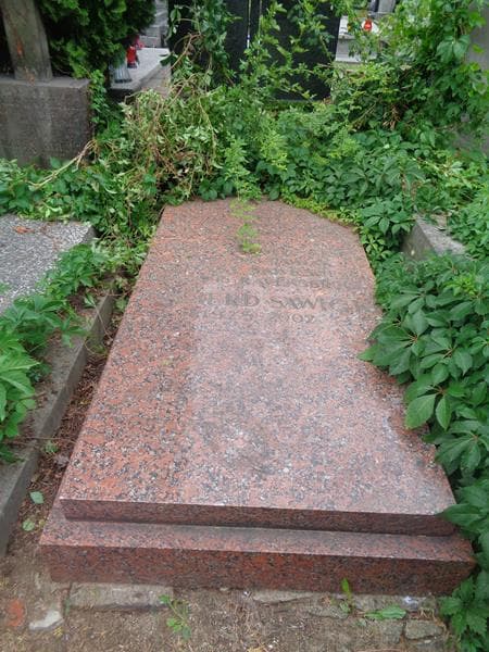 Zdjęcie grobu Joanna Sawicka (1)