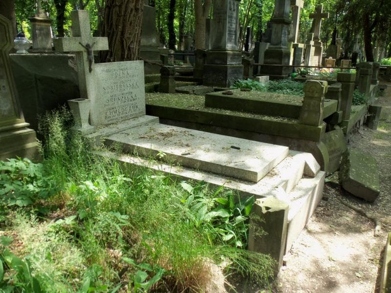 Zdjęcie grobu Magdalena Polna (1)