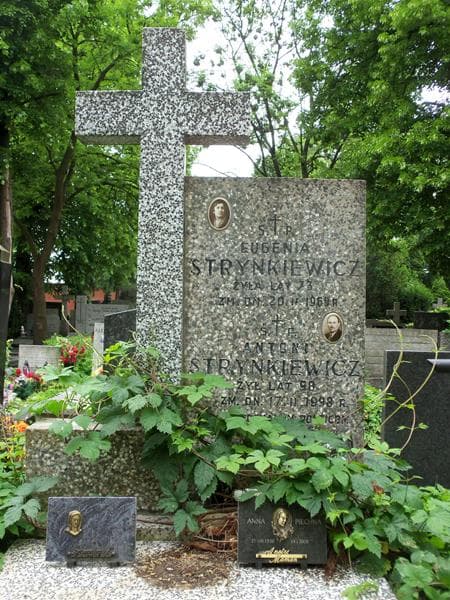 Zdjęcie grobu Antoni Strynkiewicz (2)