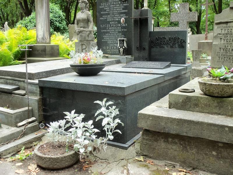 Zdjęcie grobu Marian Michałowski (1)