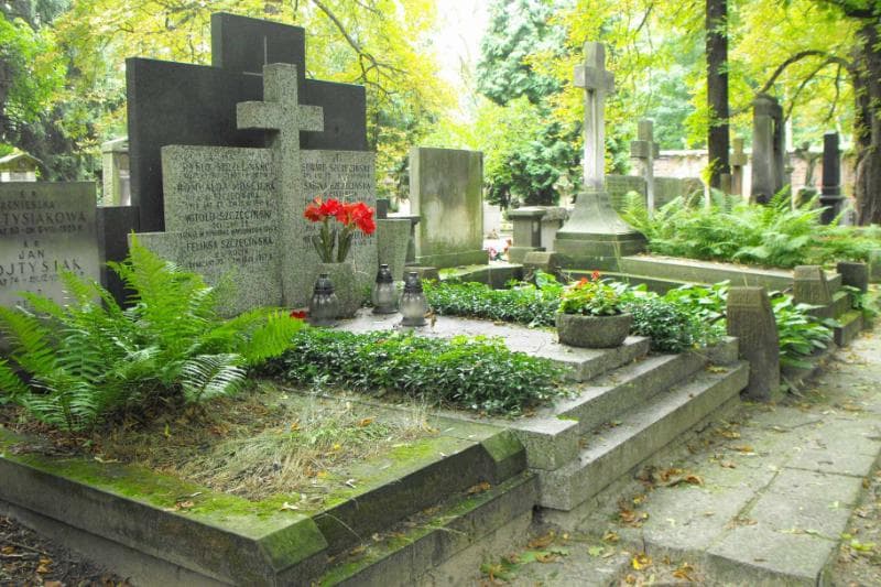 Zdjęcie grobu Witold Szczeciński (1)