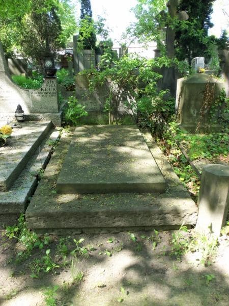 Zdjęcie grobu: Zofia Ludwigowa