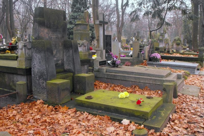 Zdjęcie grobu Konstanty Klimkiewicz (2)