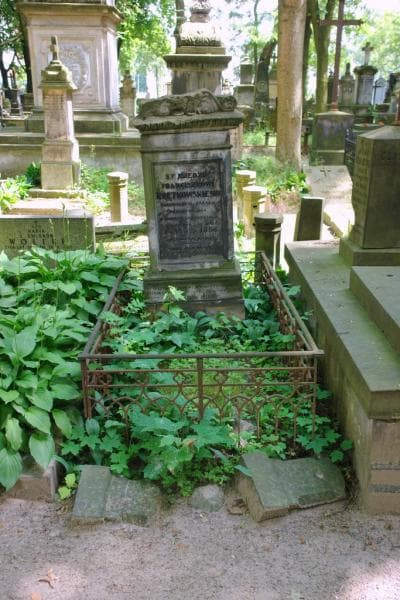 Zdjęcie grobu Franciszek Krętkowski (1)