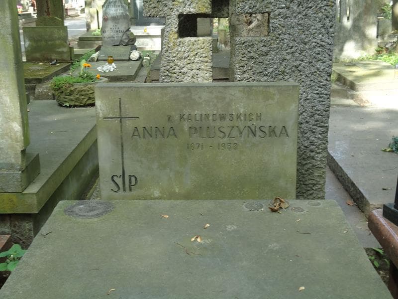 Zdjęcie grobu Janina Pluszyńska (2)