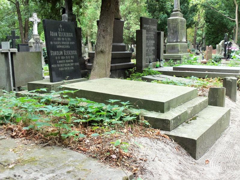 Zdjęcie grobu Walerja Dzierzbicka (1)