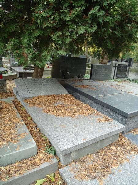 Zdjęcie grobu Feliks Jerzyński (1)