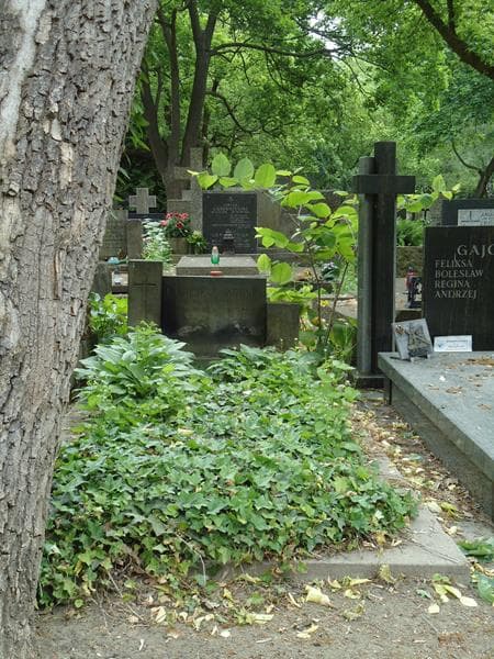 Zdjęcie grobu: Kazimierz Arendt