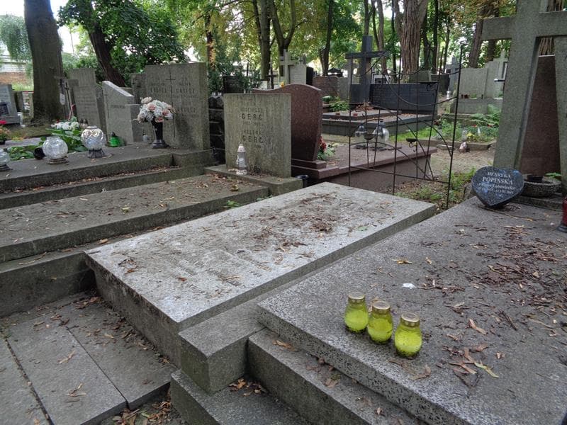 Zdjęcie grobu: Bronisława Sawoniak